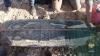 2,000-Year-Old Stele with Greek Inscription Discovered in Manbij, Syria