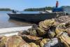 Sewage Taints Canadian Oysters. Then Americans Eat Them