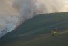 Wildfire disasters are increasingly in the news, yet less land is burning globally – here’s why (Opinion)