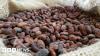 Scientists find route to chocolate 'perfection'