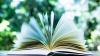 Earth Versed: 10 New Poetry Books About Our Relationship With Nature