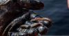Scientists search for climate change answers in Quebec sea floor