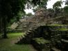 Mexico, Guatemala, And Belize Unite to Shield the Maya Forest
