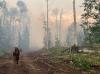 Colorado wildfires: Western Slope fires continue to grow ahead of forecasted rain storms