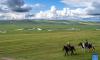 South Korean tourists flock to China's Inner Mongolia for desert stargazing