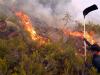 Spain’s August heatwave was ‘most intense on record’, weather agency says