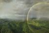 How can we make nature’s wellbeing impossible to ignore? For Natalie Kyriacou, it is the defining challenge