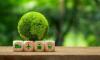 Tourist taxes? Forget them – these European cities will pay you to go green