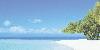 Belize Offshore Company Formation: Gateway for International Entrepreneurs