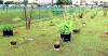 LETTER: 'Food forest' in Dededo a good example of sustainability effort