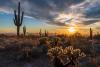 The stress-busting powers of the Arizona desert