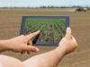Glamocic and Calusic: Serbia and Slovenia boosting cooperation in agriculture, facing similar challenges