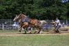 Agricultural Fair Is Endless Array of Summer Delights