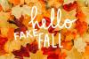 Alabama Welcomes a ‘False Fall’ Weather Shift