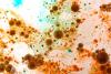 How microbes could help solve the world’s plastic pollution crisis