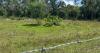 Environmentalists alarmed as developer eyes RV resort on Loxahatchee Groves wetlands