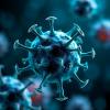 Scientists Uncover Cellular Secret Weapon in the Fight Against Pathogens