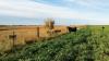 Draft MAHA Report Embraces Conservation Agriculture, Doesn’t Target Pesticides