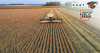 Tariffs raise concerns for Arkansas agriculture amid trade uncertainty