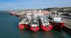 Shrimp downturn drags on Argentina’s seafood trade, even as squid sales surge