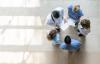 Dutch-Danish alliance expected to shape sustainable health policies