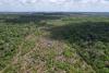 Local forest governance helps jaguars and forests flourish in Guatemala