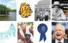 A Brief History of Dogs in Minnesota