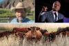 Jarvis: Montana Rancher Being De-banked for MAHA Activism