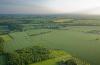 NFU chief: Britain’s food security at 'criminal' risk