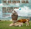 Artworks inspired by Țara Hațegului UNESCO Geopark featured in Bucharest’s ‘The Big Green: Soil’ exhibition