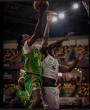 Afrobasket: Stakeholders blame Nigeria’s basketball woes on poor governance, funding gaps