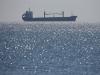 Venezuela sends troops to Colombia border with US ships to combat drug cartels