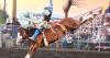 North Idaho State Fair attracts nearly 170,000 visitors