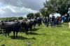 AgriSearch to hold GrassCheck dairy farm walk in Omagh