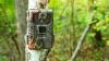 Scientists Baffled by Mysterious Lights Captured by Trail Camera in Chile