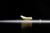 Human screwworm case poses no risk to agriculture, says USDA official