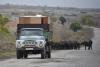 Armenia-Azerbaijan Deal Cements Tragedy | Opinion