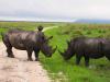 Notorious South African wildlife criminal’s dubious pursuit of hunting permit in Botswana