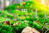 EES is here – who won’t be fingerprinted at EU borders?