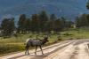 No, Colorado’s New Wildlife Overpass Isn’t the World’s Largest. But It