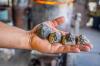 Hochschild Mining Shares Slump 14% As Output Targets Slashed