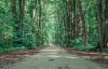 Environmental groups warn against opening roads for cars in Bucharest’s Băneasa Forest