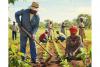 UPDP’s plan for agriculture, land and industrial growth