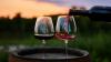 Science The Conversation en Español Finding the parents of Cabernet Sauvignon and Chardonnay: how DNA analysis can trace a wine’s genetic origins