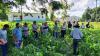 From Plastic to Jaguars: Belize Acts on Climate Change