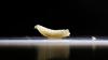 You might have heard about the flesh-eating screwworm. Here's why you shouldn't freak out