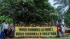Lokolama: At the heart of indigenous forestry solutions in the Congo Basin
