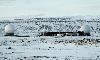 Denmark Summons US Envoy over Greenland Influence Operations