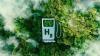 India’s Ethanol Drive Cuts Emissions while Food Security in Question