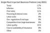 Competition In The Small Business Sector